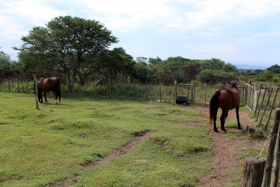 Commercial Property for Sale in Kei Mouth Eastern Cape